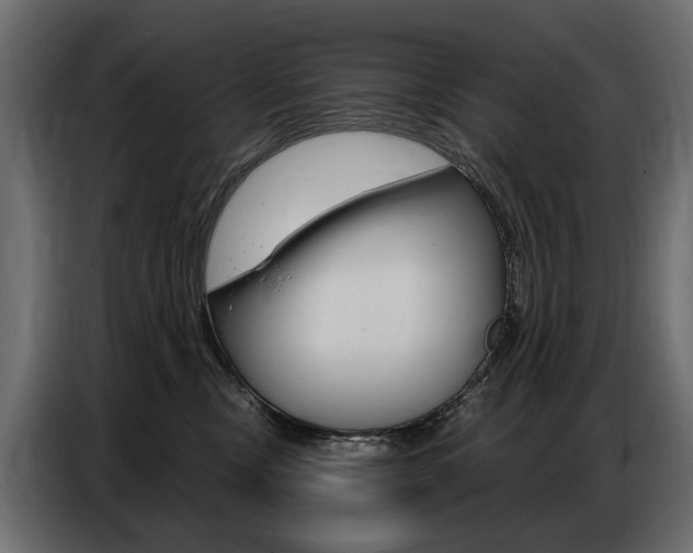 X0000086800378200704130906