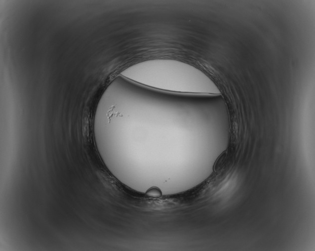 X0000086800379200704130906