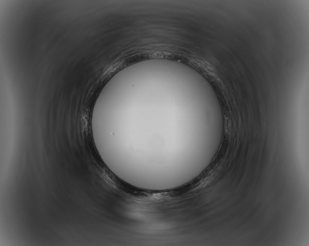 X0000086800382200704130906