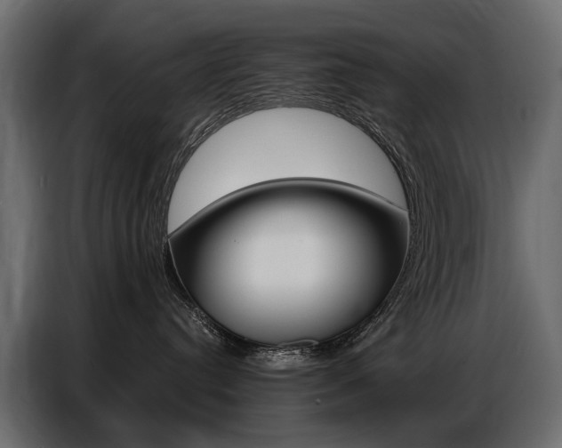 X0000086800384200704130906