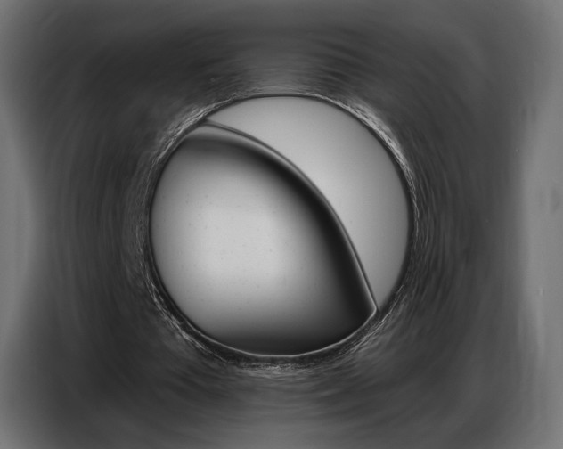 X0000086800385200704130905