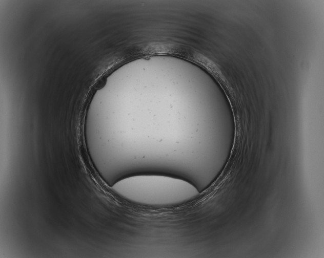 X0000086800386200704130905