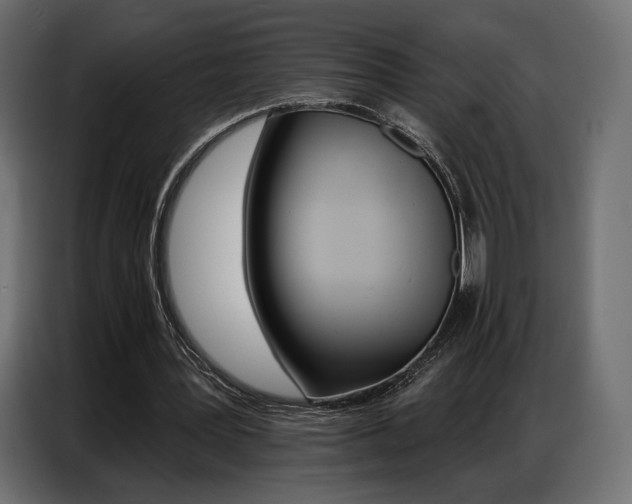 X0000086800387200704130905
