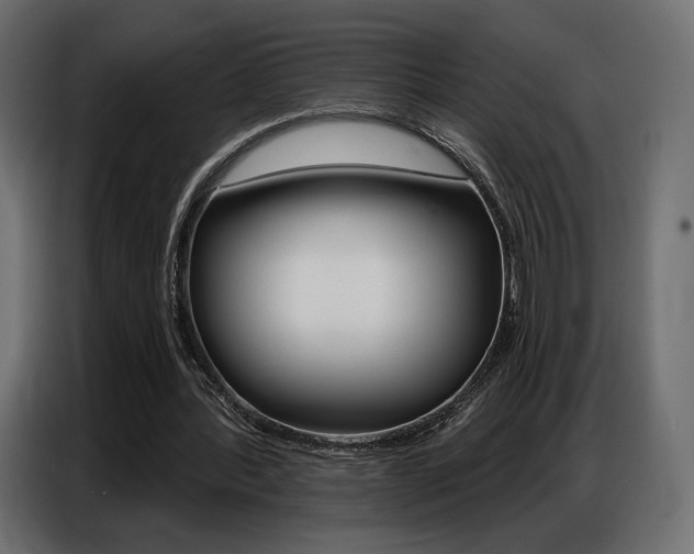 X0000086800388200704130905