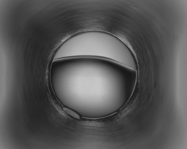X0000086800389200704130905