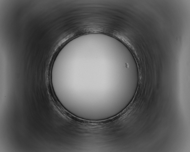 X0000086800390200704130905