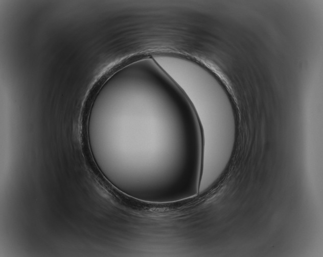 X0000086800391200704130905
