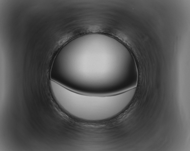 X0000086800393200704130905
