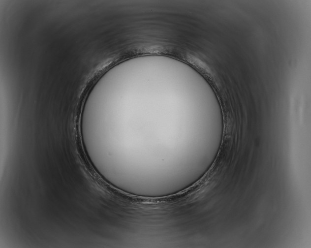 X0000086800394200704130905
