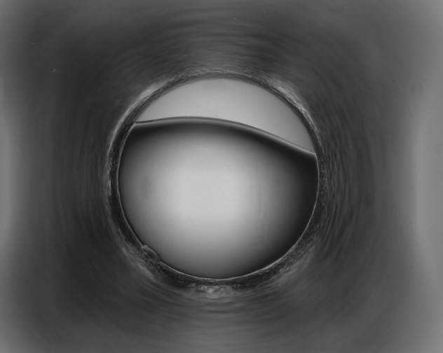 X0000086800395200704130905