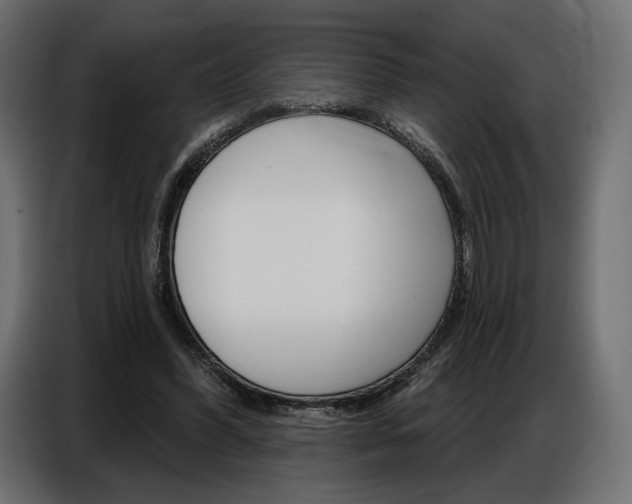 X0000086800396200704130905