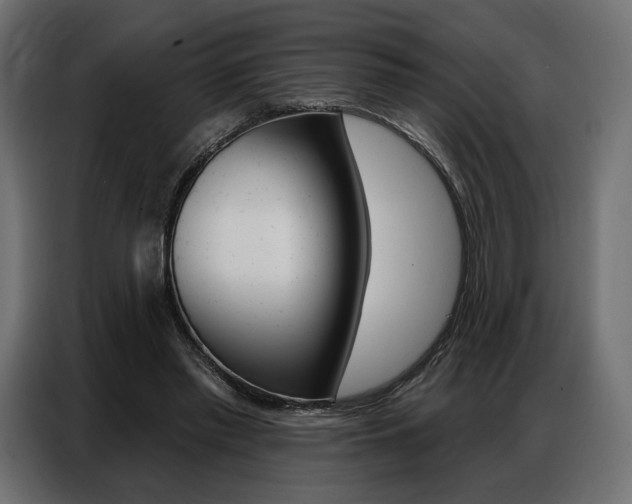 X0000086800397200704130905