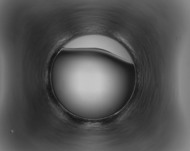 X0000086800403200704130905