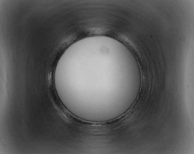 X0000086800406200704130905