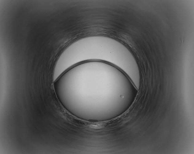 X0000086800411200704130905