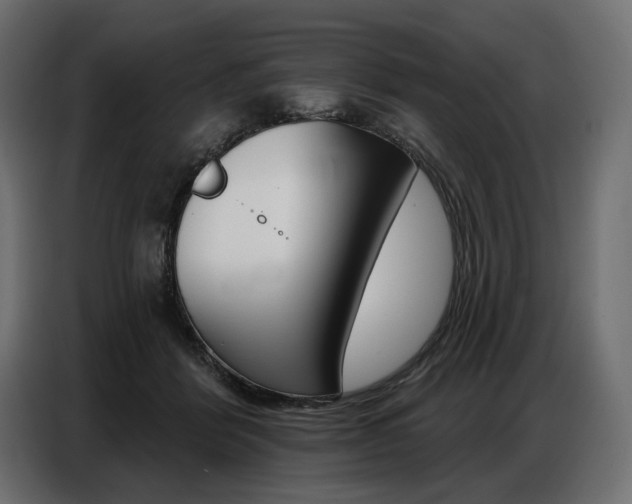 X0000086800412200704130905