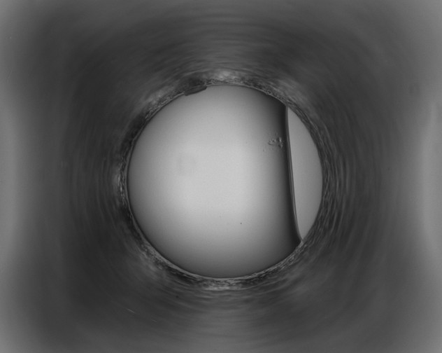 X0000086800415200704130905