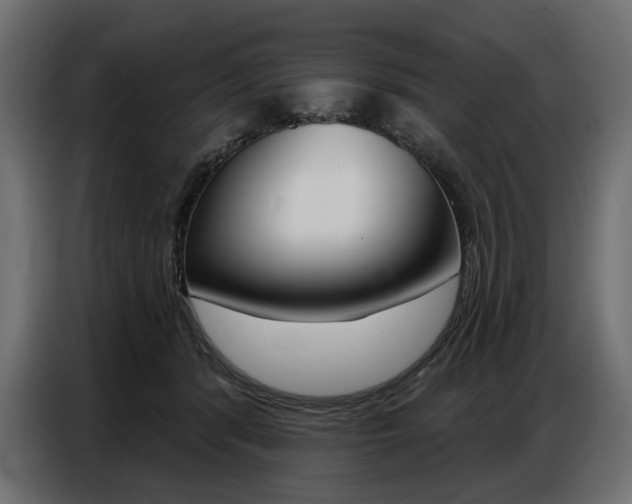 X0000086800416200704130905