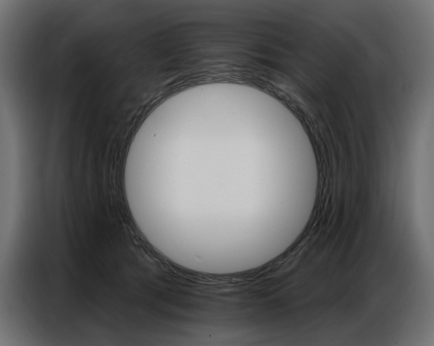 X0000086800417200704130905