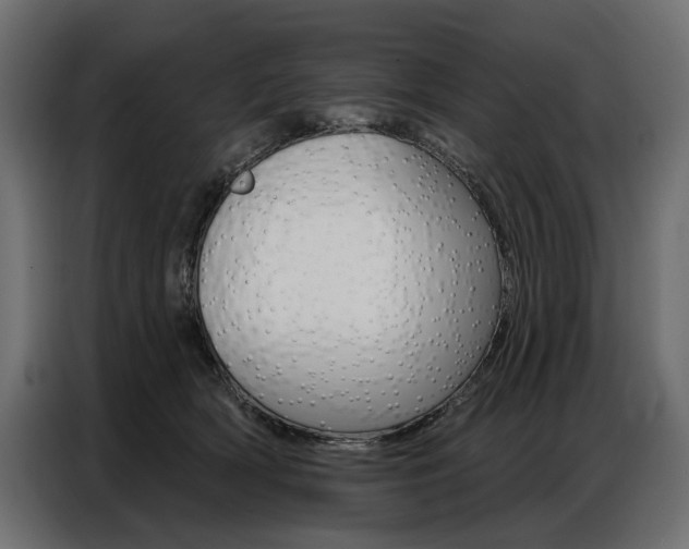 X0000086800418200704130905