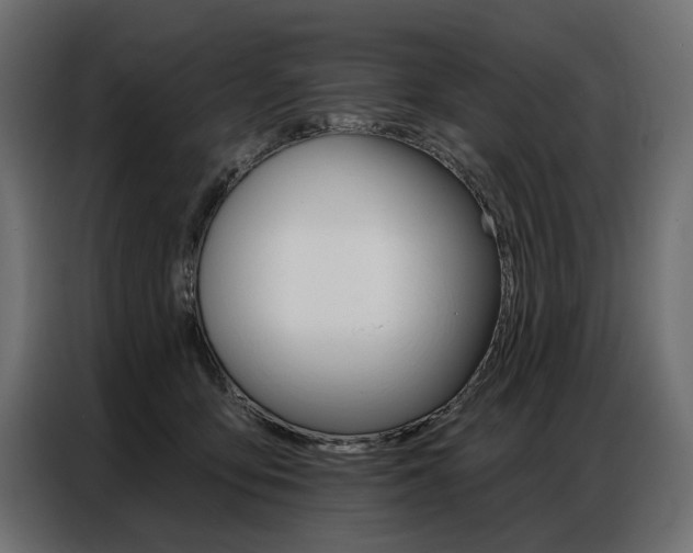 X0000086800419200704130905