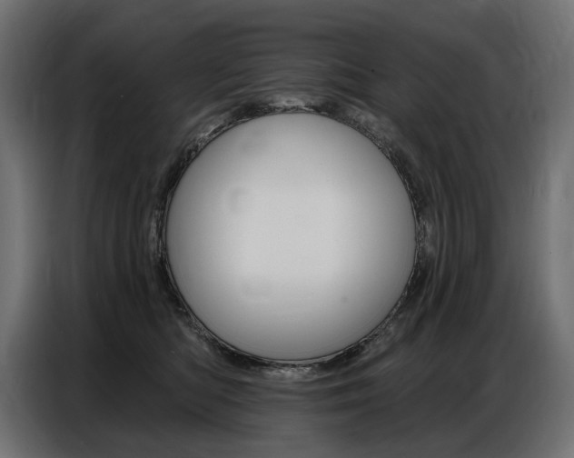 X0000086800422200704130904