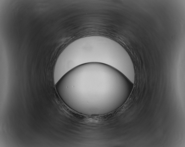 X0000086800423200704130904