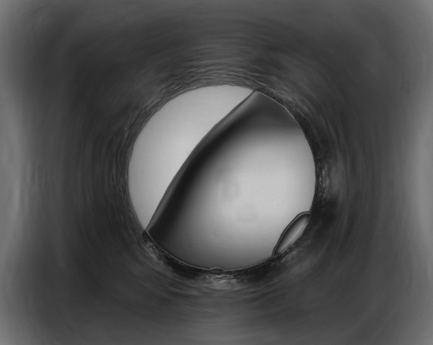 X0000086800424200704130904