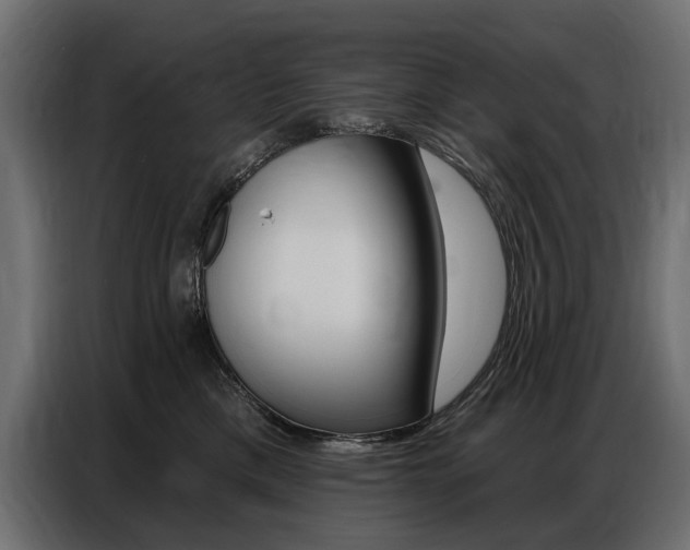 X0000086800425200704130904