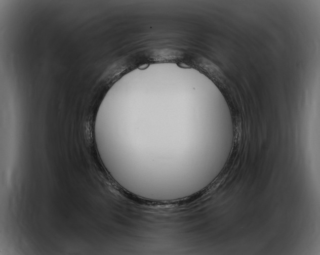 X0000086800426200704130904