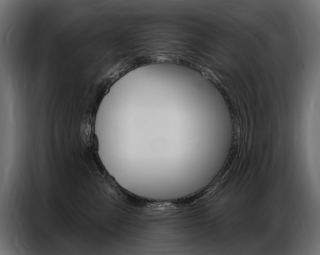 X0000086800427200704130904