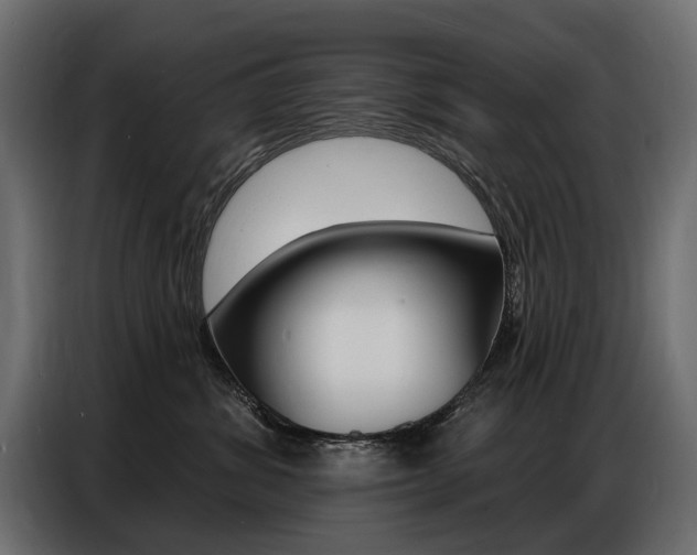 X0000086800428200704130904