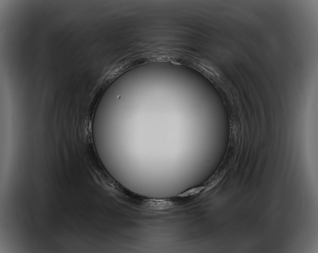 X0000086800429200704130904
