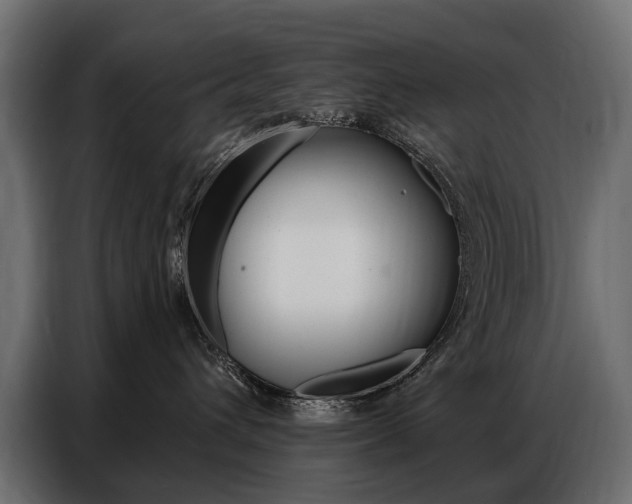 X0000086800432200704130904
