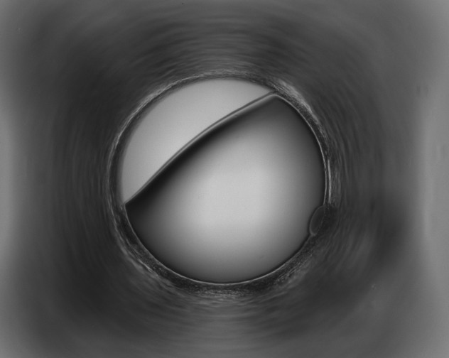 X0000086800435200704130904