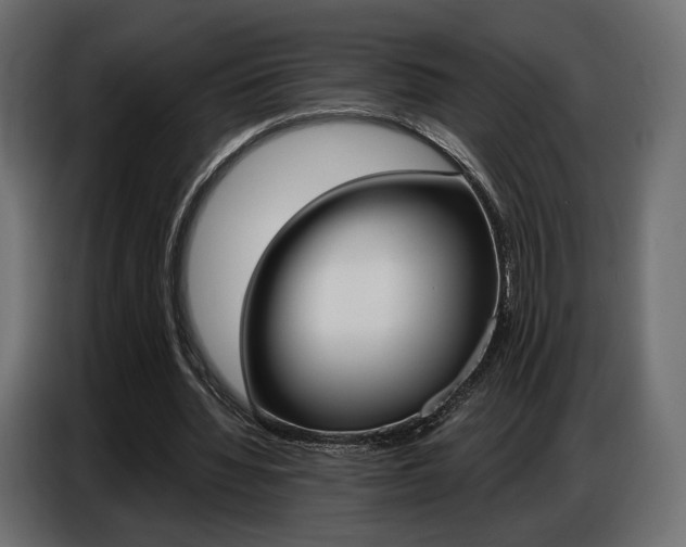 X0000086800436200704130904