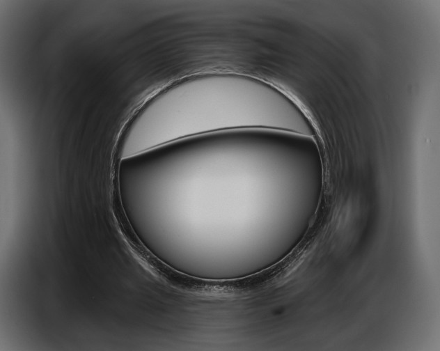 X0000086800437200704130904
