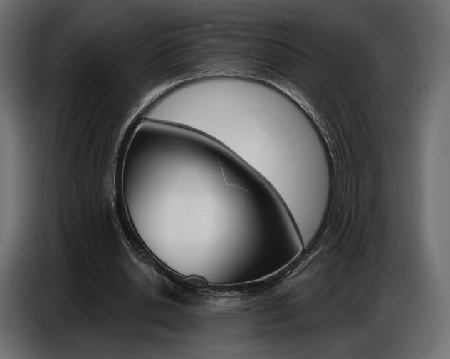 X0000086800438200704130904