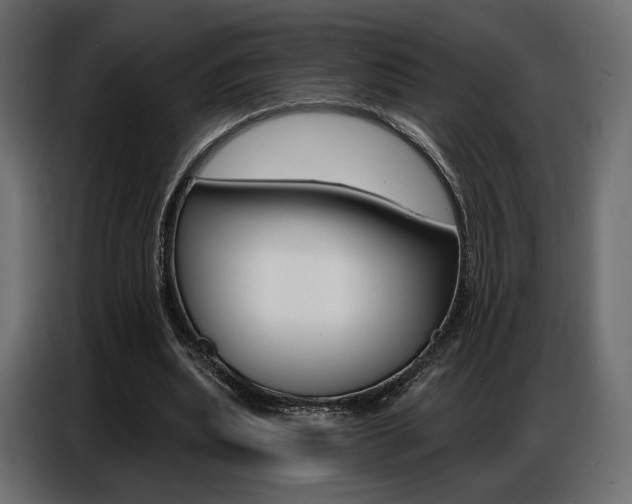 X0000086800439200704130904