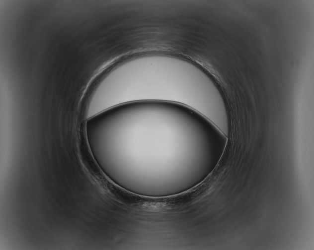 X0000086800440200704130904