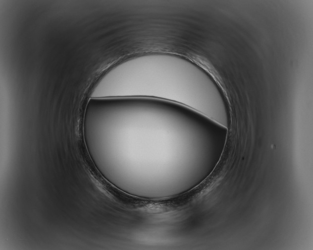 X0000086800441200704130904