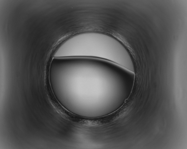 X0000086800442200704130904
