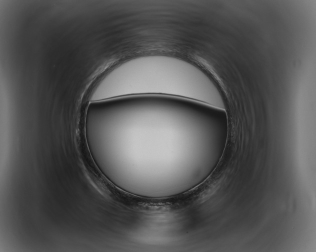 X0000086800443200704130904