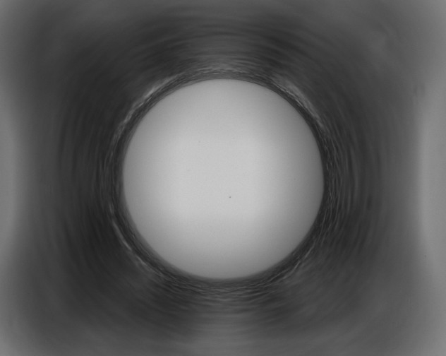 X0000086800444200704130904