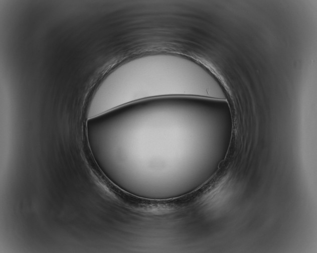 X0000086800445200704130904