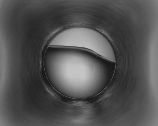X0000086800446200704130904
