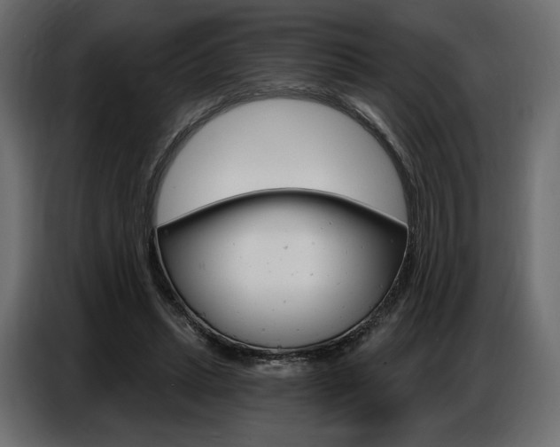 X0000086800447200704130904