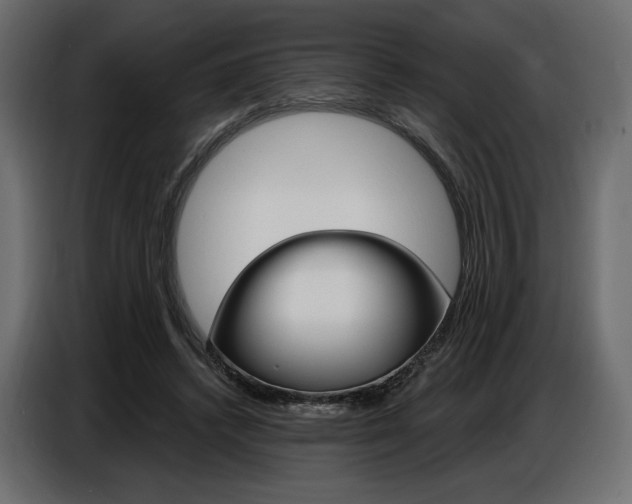 X0000086800448200704130904