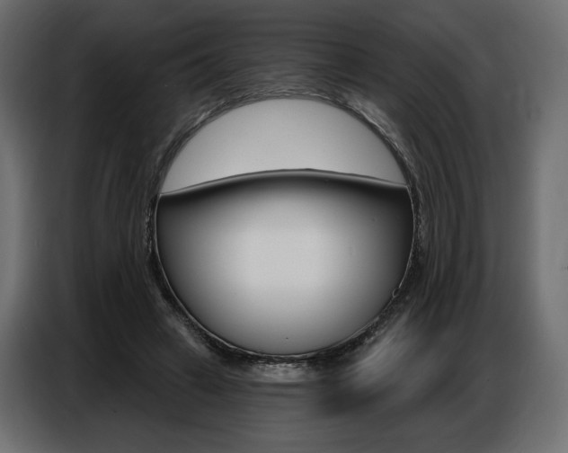 X0000086800449200704130904