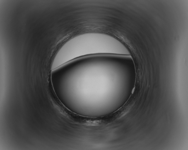 X0000086800450200704130904